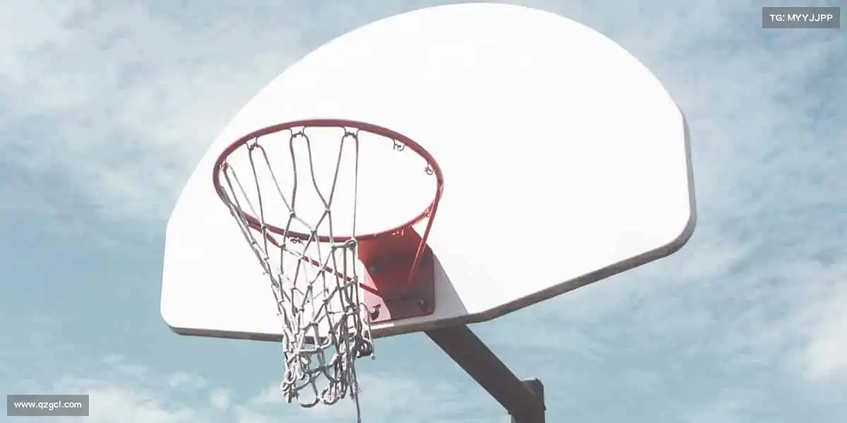 为什么选择我们